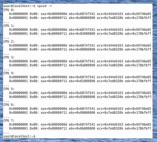 CPUID - Security and Privacy Risks‎