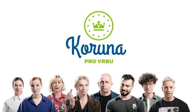 Sbírka na pomoc rodinám, kterým smrt vzala mámu nebo tátu - Koruna pro Vrbu