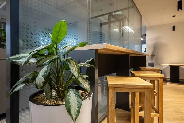 NRB Praha – Minimalistic