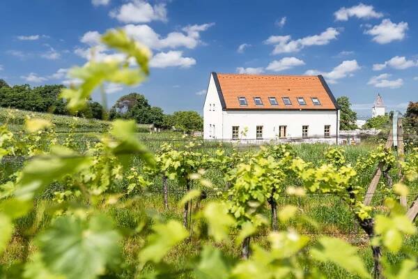 Penzion Nad Pavlovem foto 4