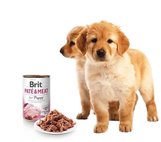 Konzerva pro psy Brit Paté & Meat pro štěňata 800 g