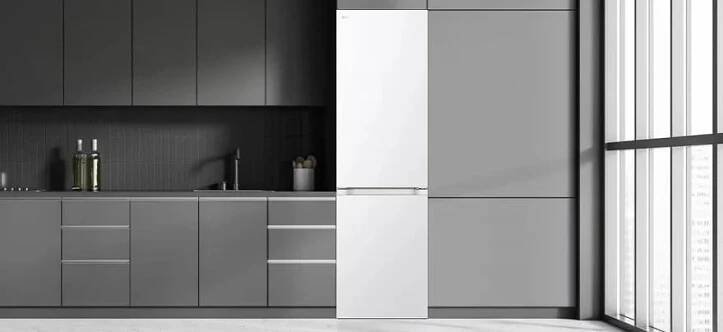 Lednice LG GBV3100ASW