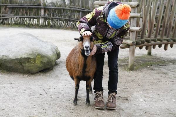 Dětská zoo Safari Parku Dvůr Králové | foto: Simona Jiřičková