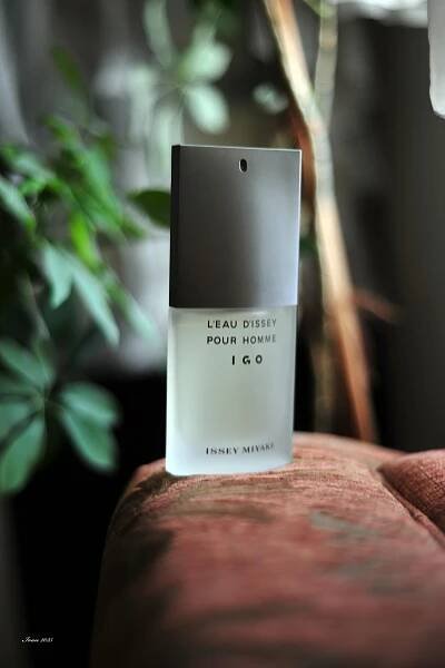 L'Eau d'Issey Pour Homme Issey Miyake pro muže