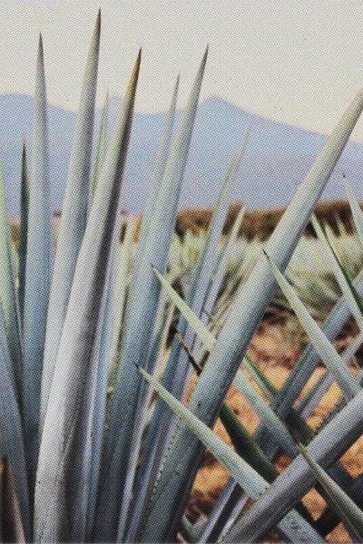 Travel - Kristin Teig