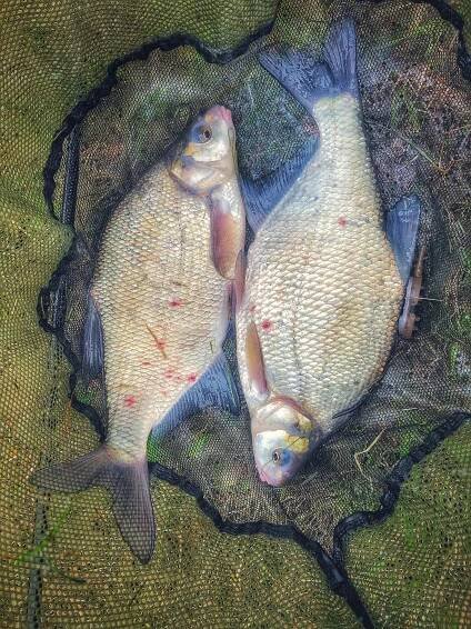 Anglingtackle.cz - MIDDY | YUKI Competition | YUKI-SEAGUAR | HJG-DRESCHER| RINGERS
