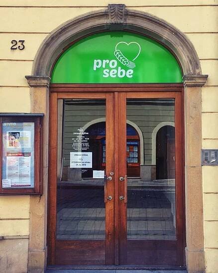 Pro Sebe