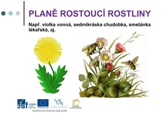 PPT - Společenstva okolí lidských obydlí PowerPoint Presentation, free download - ID:5119029