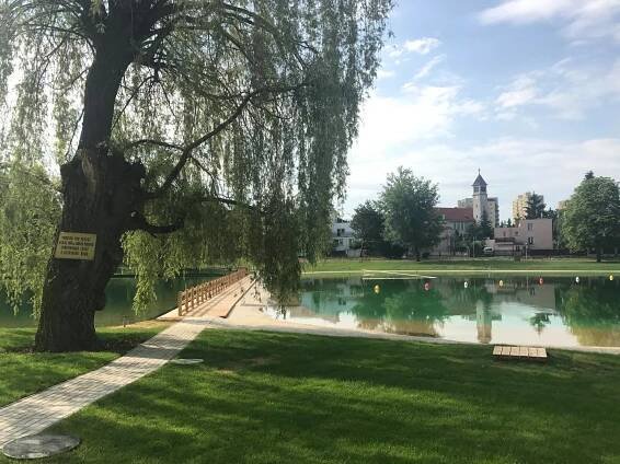 Koupaliště Lhotka je přírodní biotop