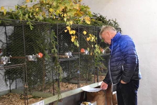OBRAZEM: Chovatelé vystavili drobné zvířectvo