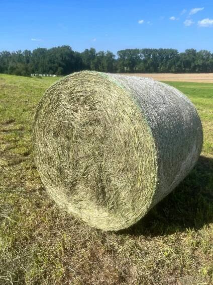 Seno, sláma, suchá/mokrá senáž, ječmen, oves - Hradec Králové