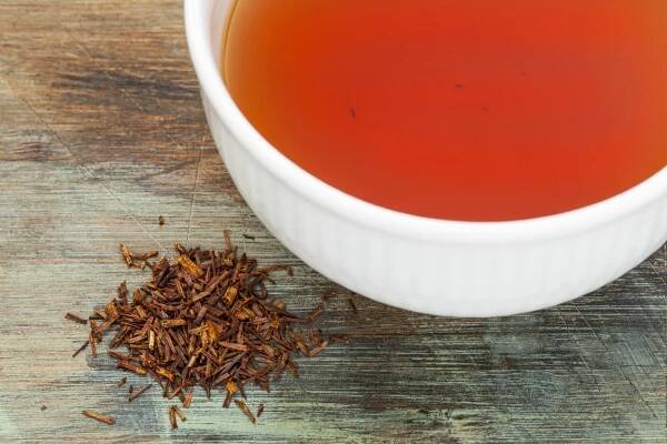 Rooibos – čaj, který omlazuje