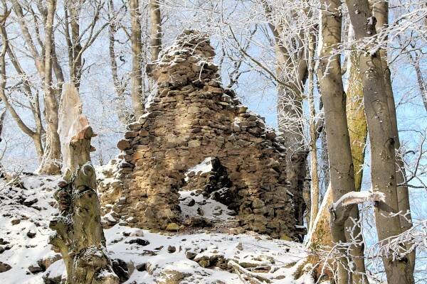 Frauenstein (hrad v Horní Falci)