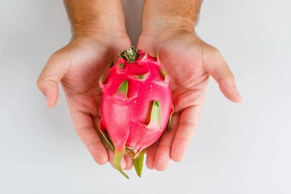 Exotické ovocie pitahaya: Odkiaľ pochádza a aké zdravotné výhody vám môže priniesť?