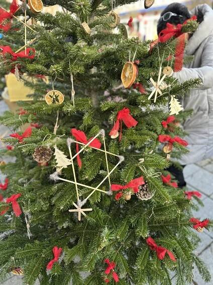 Zdobení vánočního stromečku na náměstí 🎄 – Základní škola J. A. Komenského Chodov