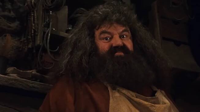 Svět opustil Hagrid. Zemřel Robbie Coltrane, představitel oblíbené postavy z Harryho Pottera