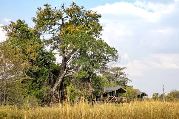 Our Wild & Remote Camp — ZAMBIAN HORSEBACK SAFARIS 