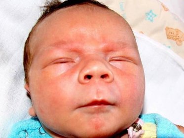 Novorozená miminka Znojemska 27. týdne roku 2011