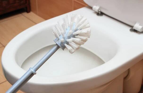 kartáč na čištění a záchodovou mísu - wc štětka - stock snímky, obrázky a fotky
