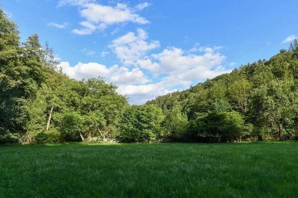 Skřivaň, Pavlíkov - Rakovník | Prodej, Rodinný dům 6+kk, 869 m²