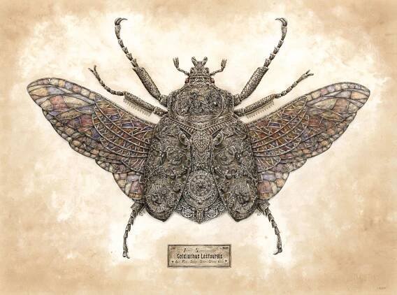 Goldiathus,2020_72DPI-3000px.jpg