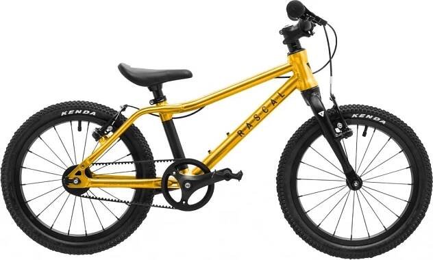 Rascal 16 2024