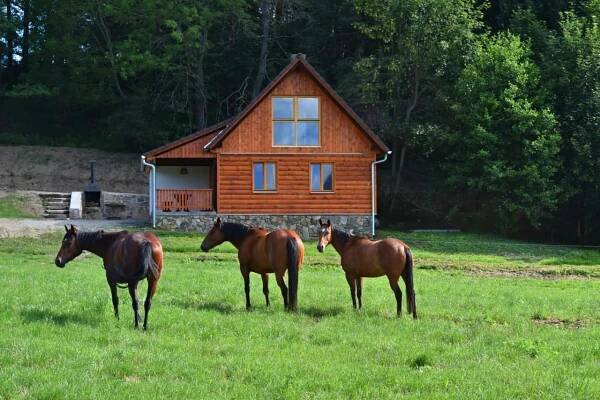 Chaty Šumava 2