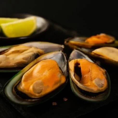 Zobrazit detail produktu - Slávky novozélandské -Green lipped Mussel  | 1221