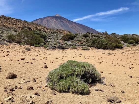 Tenerife 2019: Pico del Teide – anyberry.net