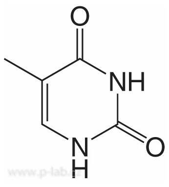 THYMIN | P-LAB