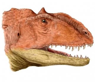 Madagaskarskému dinosaurovi dorůstaly zuby každé dva měsíce, připomínal žraloka