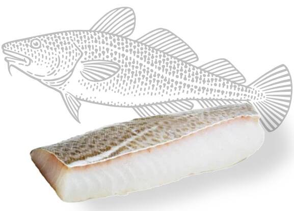 Maredeus: Especialistas en Bacalao - Nos apasiona lo que hacemos.