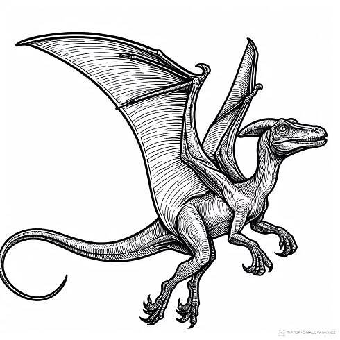 Obrázek k vybarvení Dinosaurus pterodaktyl