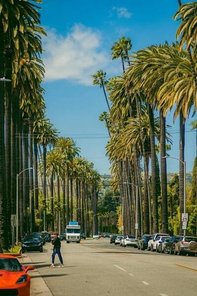 Beverly Hills Fencing