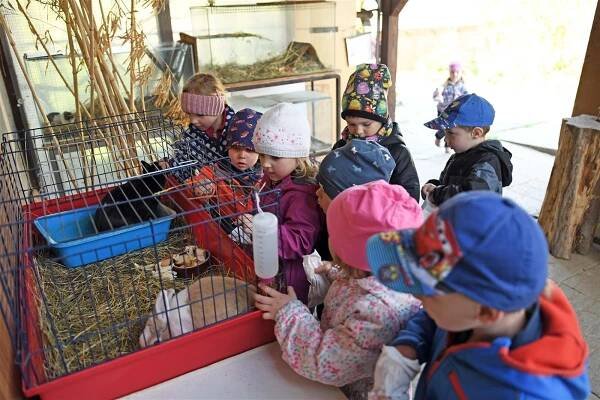 Minizoo ve Valašském Meziříčí navštíví ročně tisíce lidí. Vstup do ní je zdarma