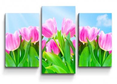Obraz - 3-dílný Růžové tulipány