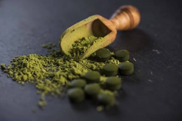 chlorella prášok