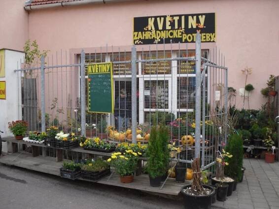 Květiny Znojmo foto 2