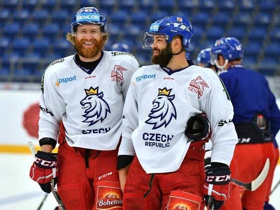 Anaheim Ducks: Hokejový klub NHL se Stanley Cupem