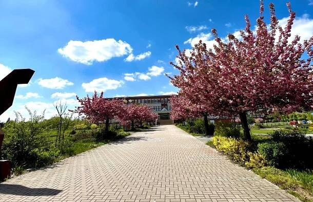 Ústav pedagogiky, psychologie a etické výchovy - Univerzita Hradec Králové