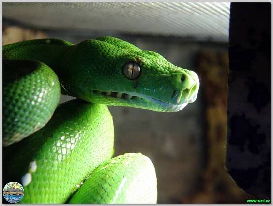 Akva-Tera Zoo Plzeň