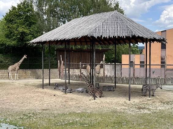 Přírodovědná exkurze - ZOO Dvůr Králové nad Labem – Základní škola T. G. Masaryka v Lomnici nad Popelkou