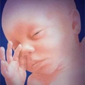 Jak dítě dýchá v děloze? Co je to dítě dýchání v mámině břiše