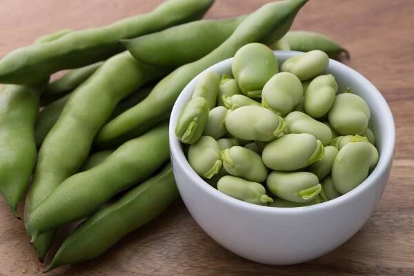 "Luke, I am Your Fava" - Veritable Vegetable