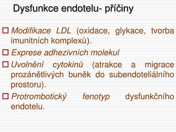 PPT - Kardiovaskulární systém PowerPoint Presentation, free download - ID:4071374