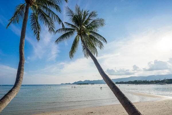 Chaba Cabana Beach Resort & Spa (Bangkok - Ko Samui (Thajsko)) | Pobytové zájezdy do Thajska