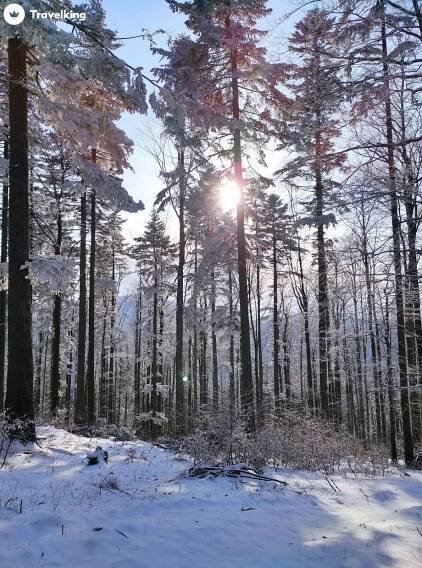 Horská chata Krmelec na Goduli | TRAVELKING