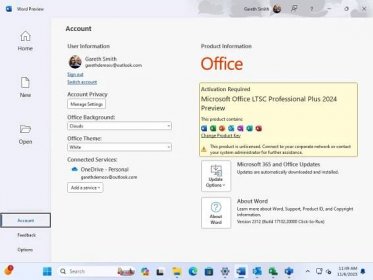 office 2024 preview