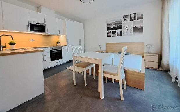 1+kk, Brno, 642 00, 21 m²