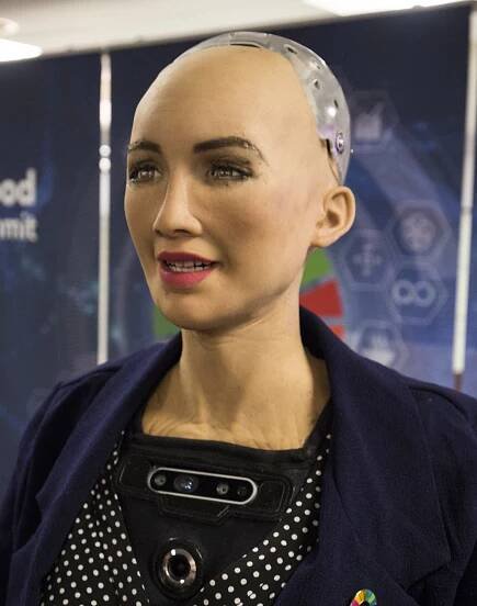 Sofie (robot)